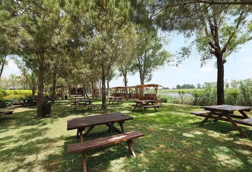 Crystal Paraiso Verde Resort & Spa   Ultimate All Inclusive