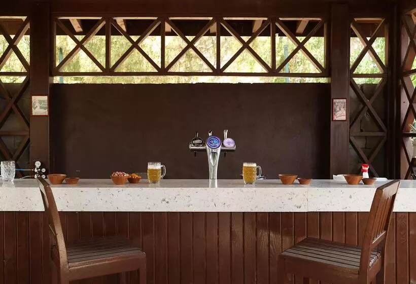 Crystal Paraiso Verde Resort & Spa   Ultimate All Inclusive