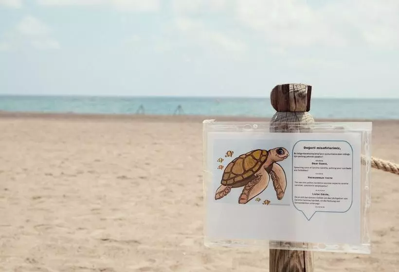 Crystal Paraiso Verde Resort & Spa   Ultimate All Inclusive