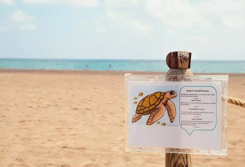 Crystal Paraiso Verde Resort & Spa   Ultimate All Inclusive