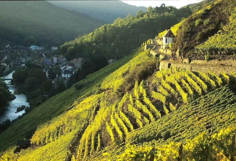 Hotelli Le Domaine Du Mongade By Popinns