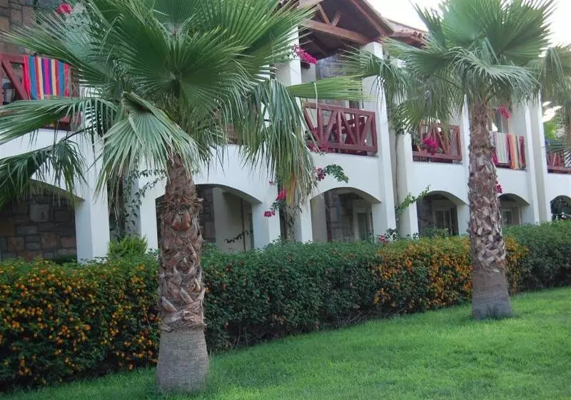 Hotel Tiana Beach Resort   All Inclusive