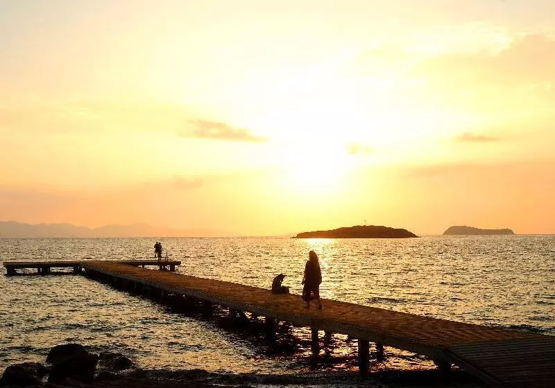 Hotel Tiana Beach Resort   All Inclusive