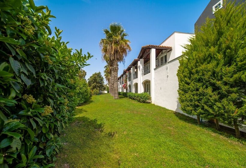 فندق Tiana Beach Resort   All Inclusive