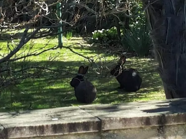 Отель Villa Elda