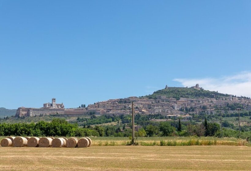 בית מלון כפרי Villa Elda