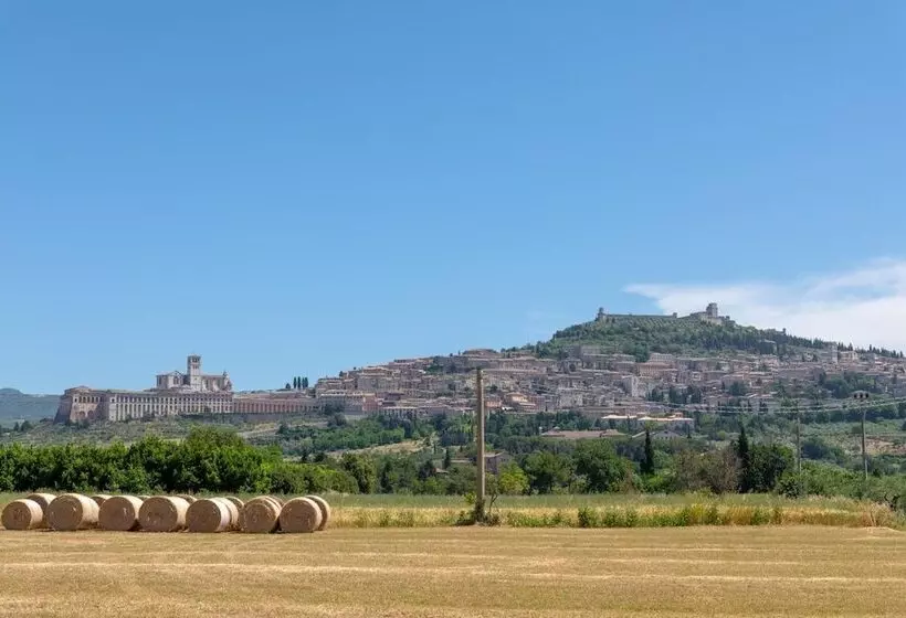 Отель Villa Elda