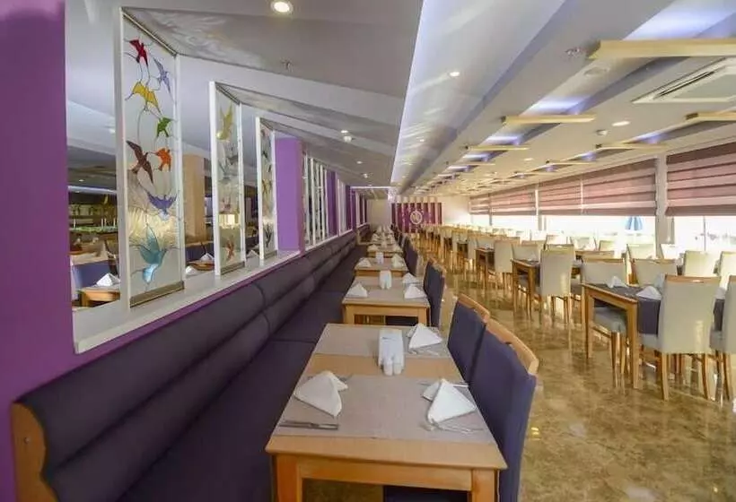 Sandy Beach Hotel   All Inclusive