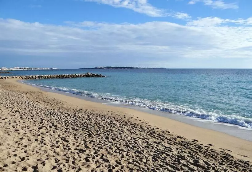 בית מלון כפרי Amiraute