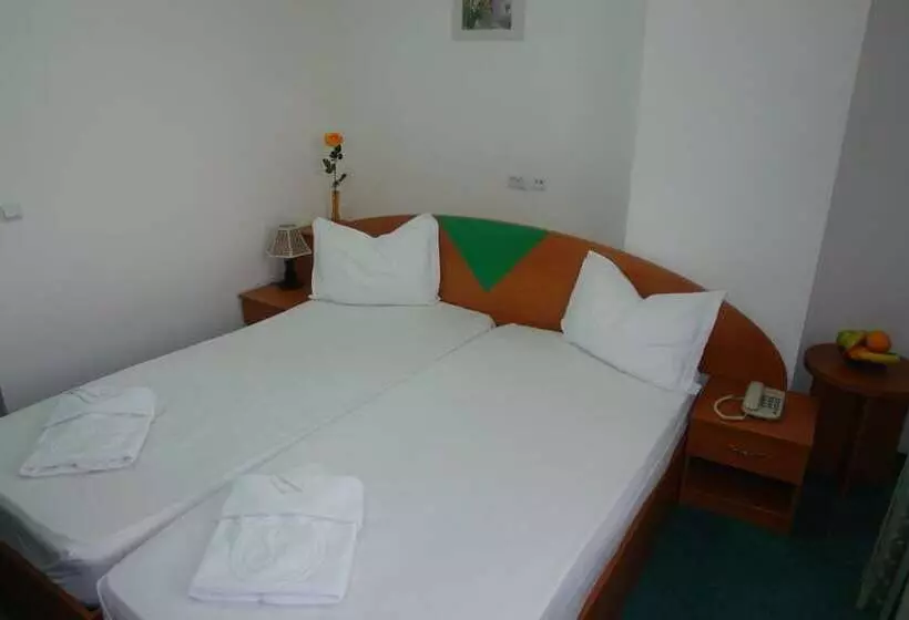 هتل Sir Colentina