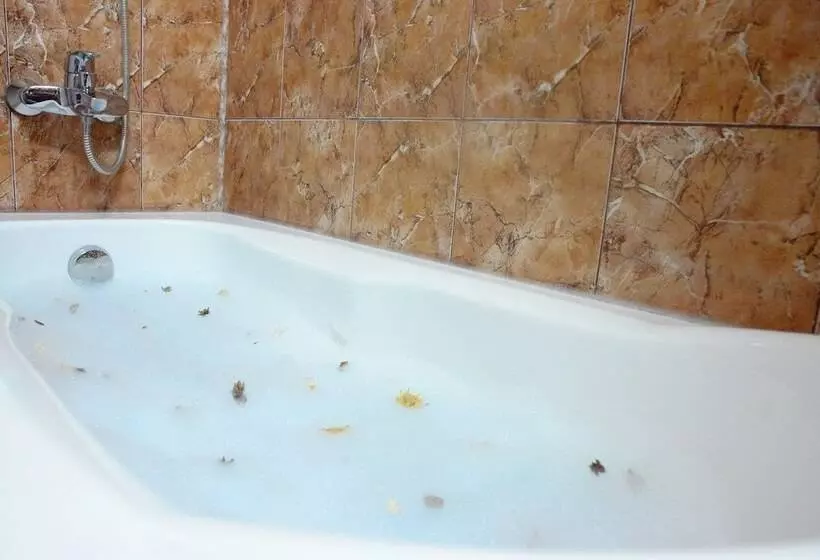 هتل Sir Colentina