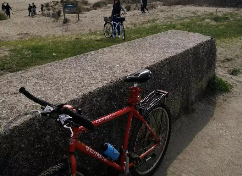 Отель Villa Delle Palme