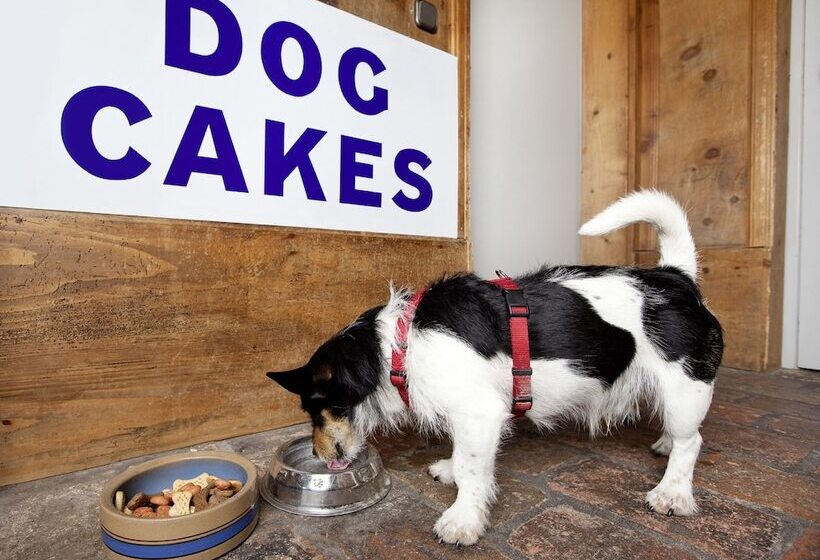 Appartement Hotel Seespitz