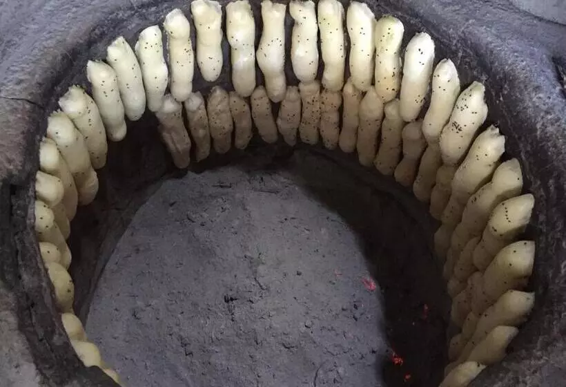 هتل Aravan Evi