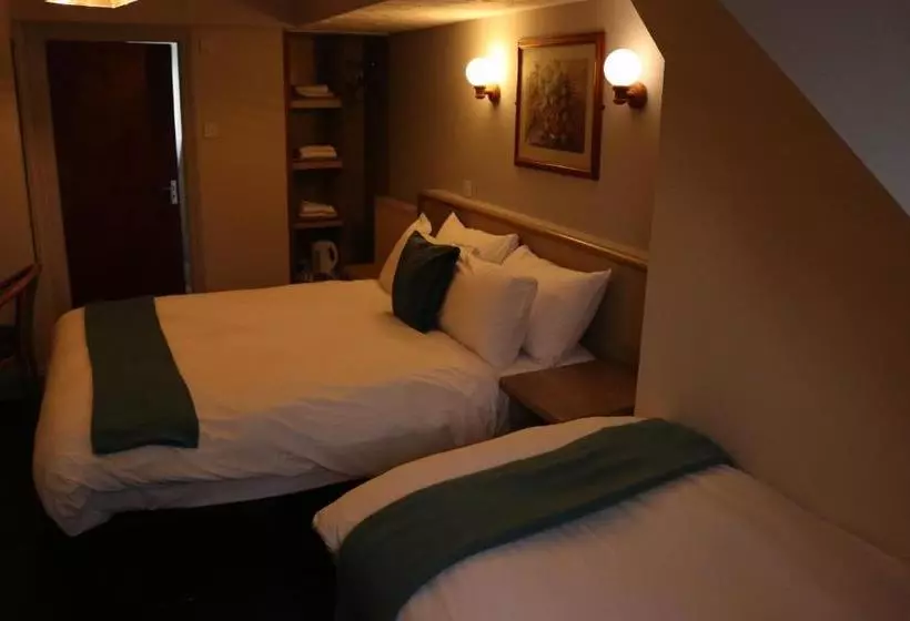 酒店 The Globe And Crown