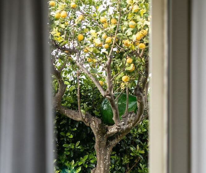 פנסיון La Talega