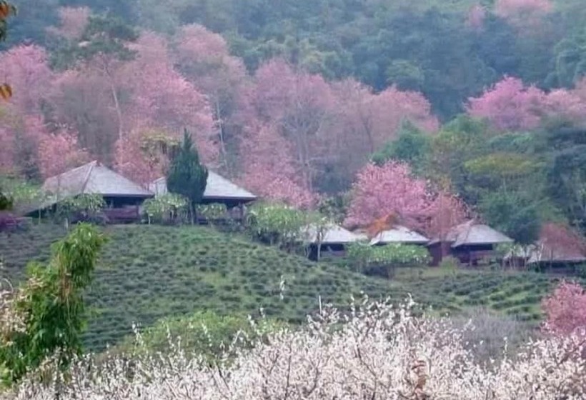 בית מלון כפרי Shin Sane Guest House