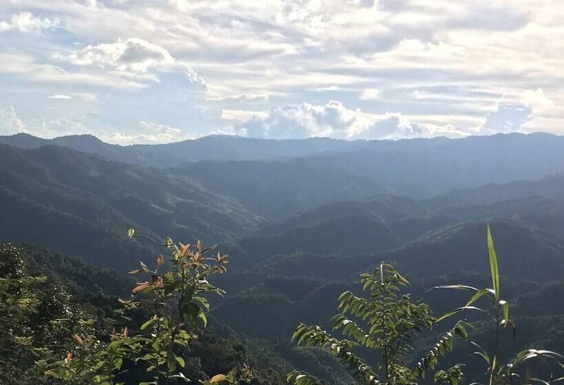 בית מלון כפרי Shin Sane Guest House