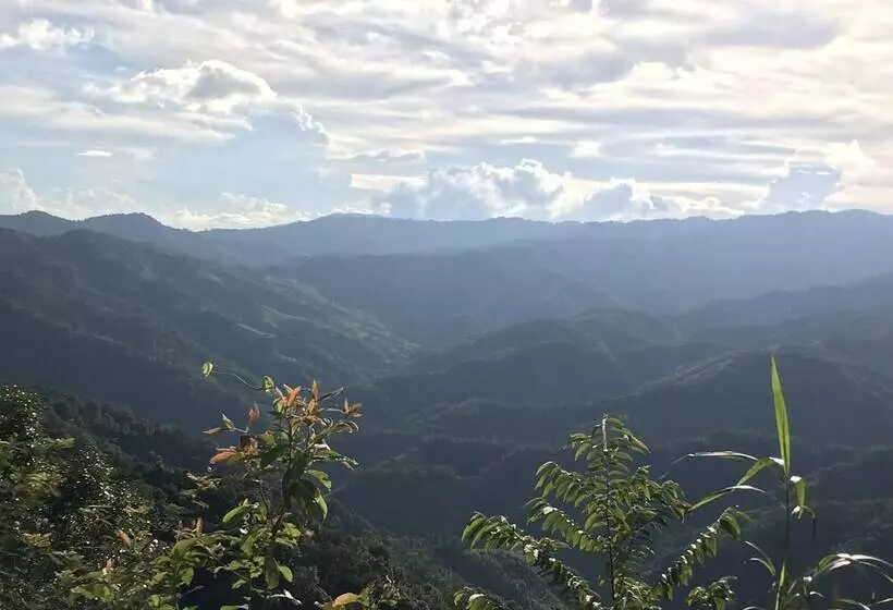 Hotelli Shin Sane Guest House