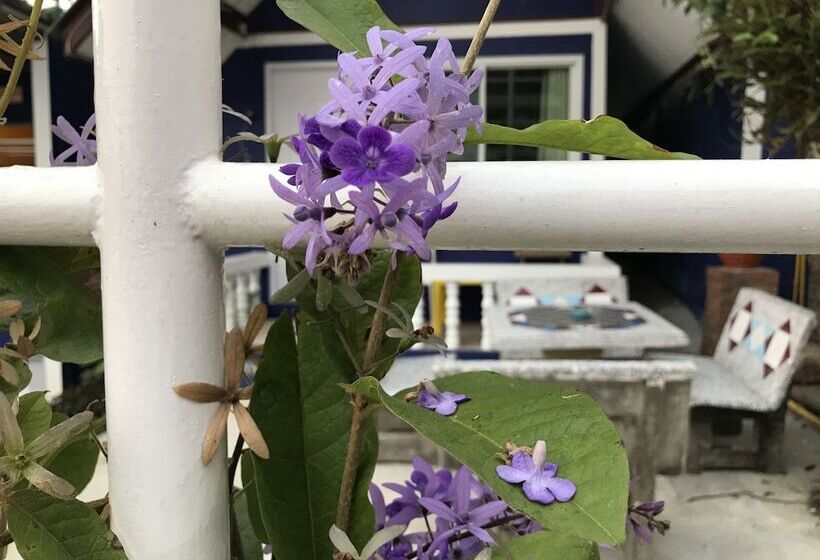 בית מלון כפרי Shin Sane Guest House