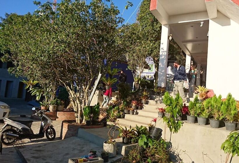 בית מלון כפרי Shin Sane Guest House