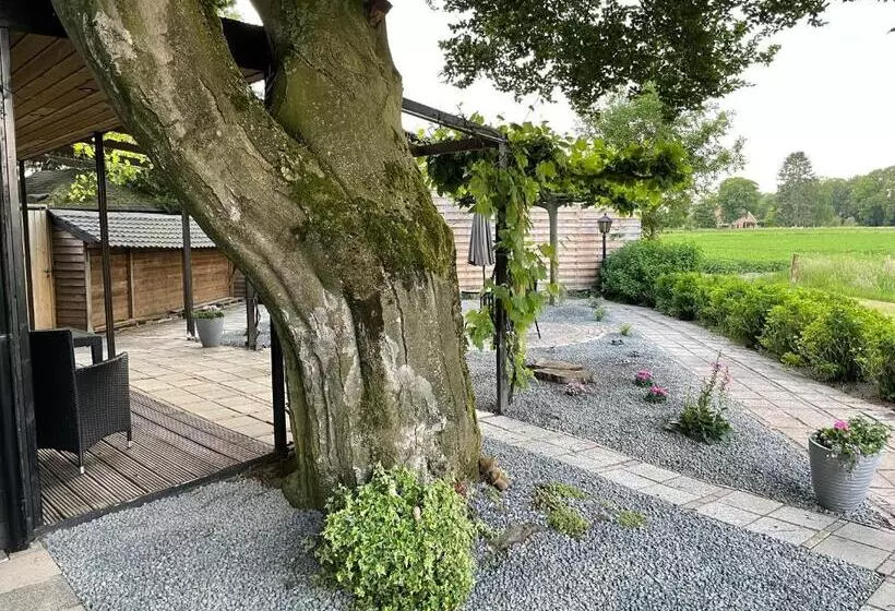 B&b Usselo Klein, Fijn En Uniek!