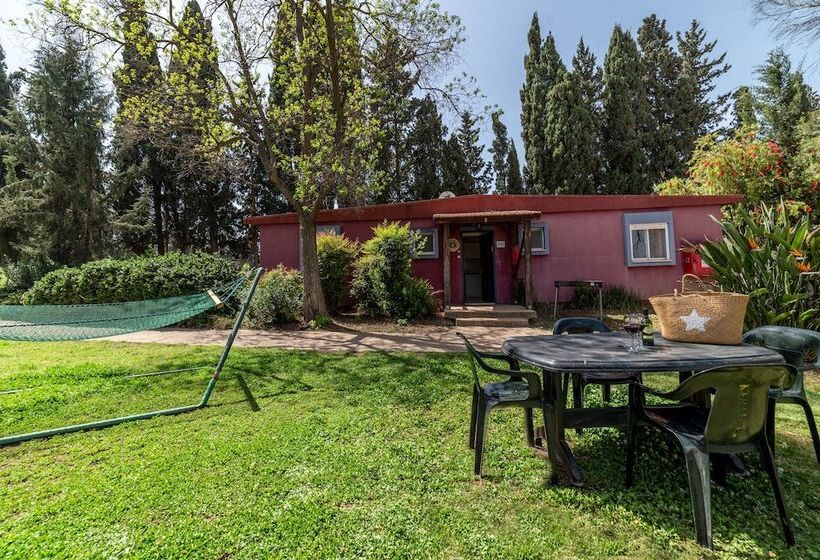 Пансион Mizra Guest House