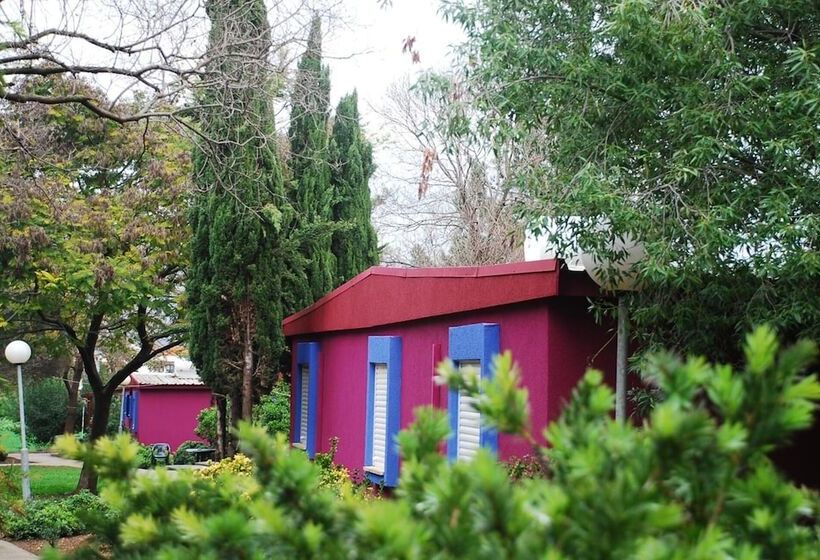 Пансион Mizra Guest House