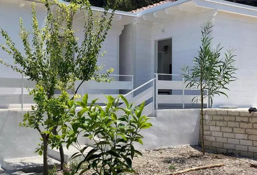 تختخواب و صبحانه Villa Vittoria Garden