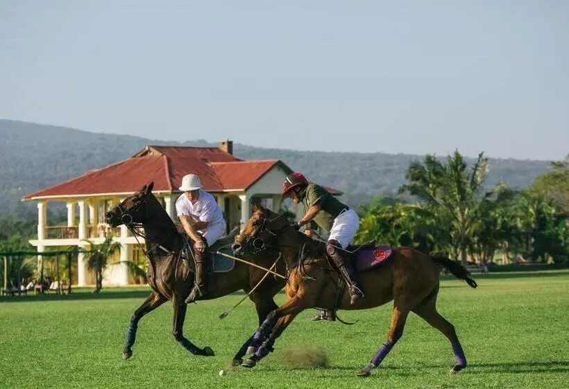 Hotelli The Safari House