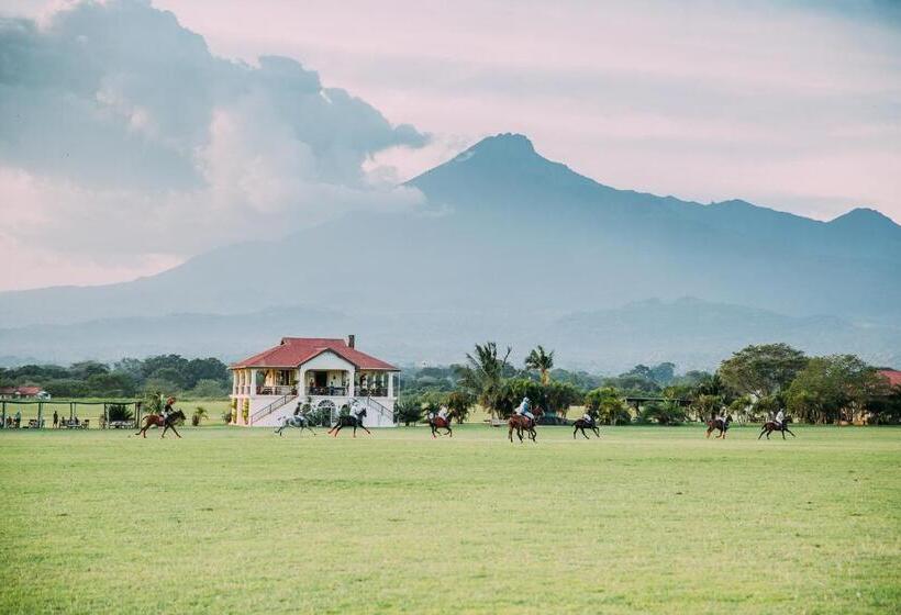 בית מלון כפרי The Safari House