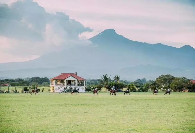 Hotelli The Safari House