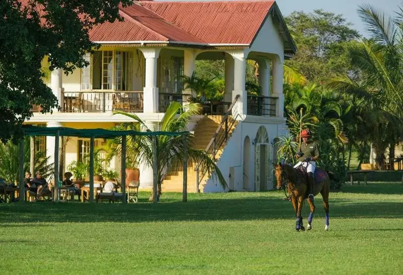 Hotelli The Safari House