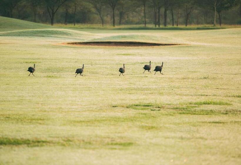 בית מלון כפרי The Safari House