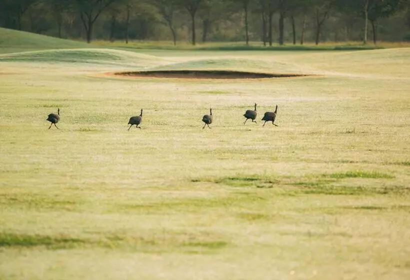 Hotelli The Safari House