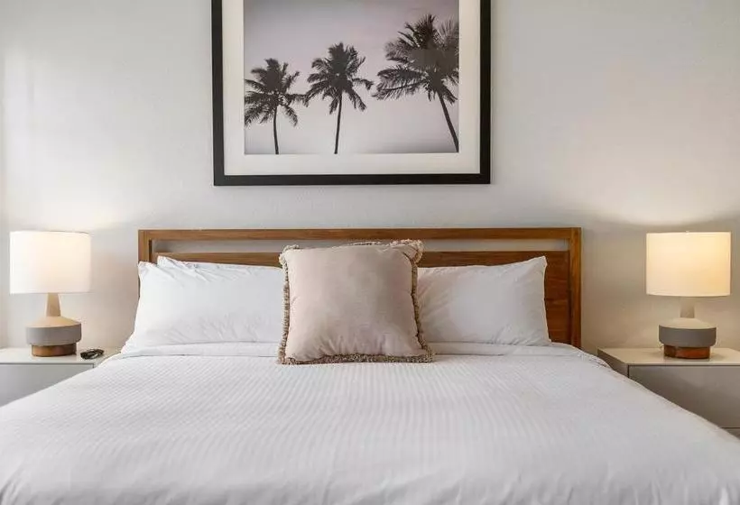 Kasa Wellington South Florida