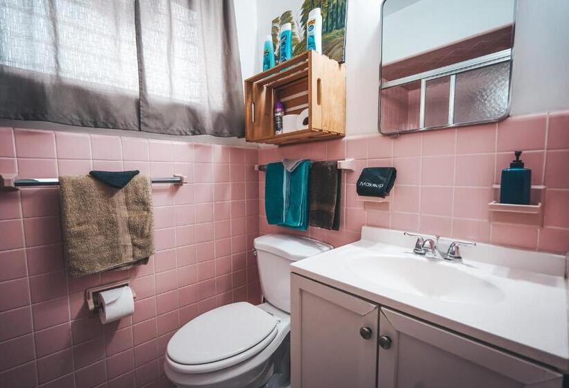 فندق على الطريق Hollywood Light Haven Lodge