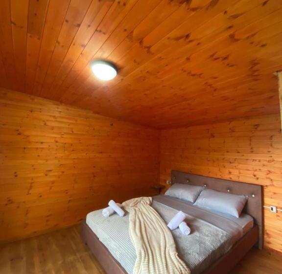 پانسیون Driti Gh Nderlysa