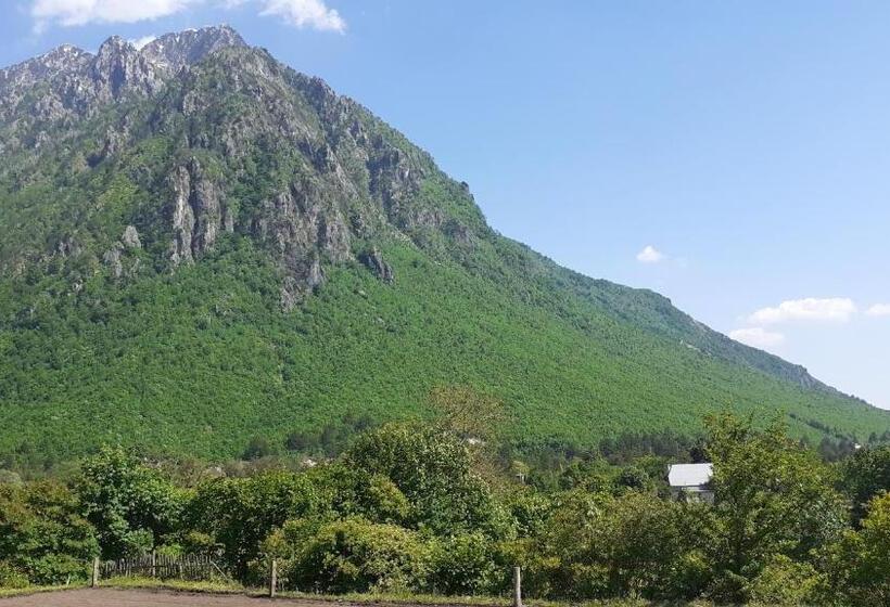 پانسیون Driti Gh Nderlysa