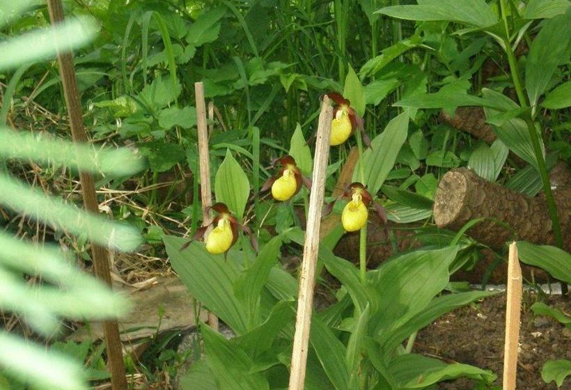 Пансион Alpenhof Alt Lähn