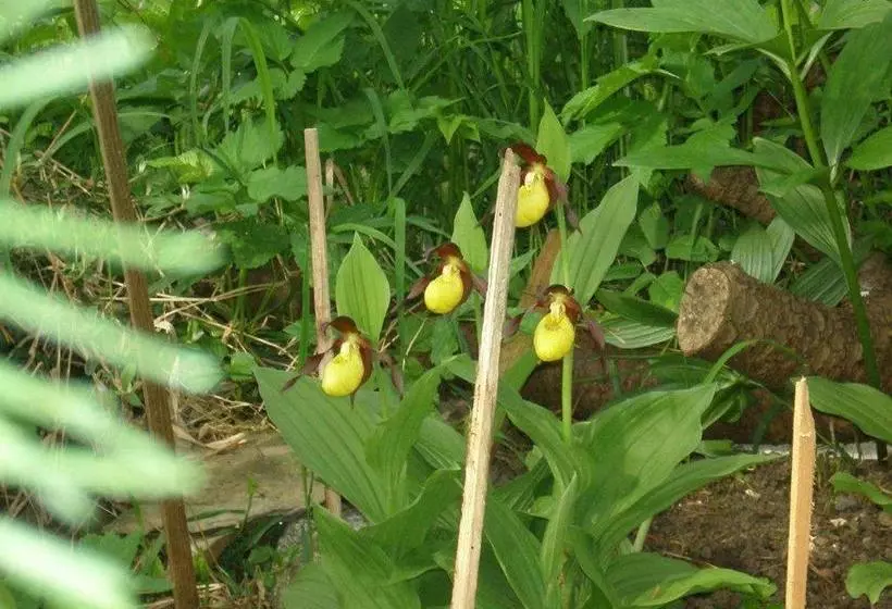 Majatalo Alpenhof Alt Lähn