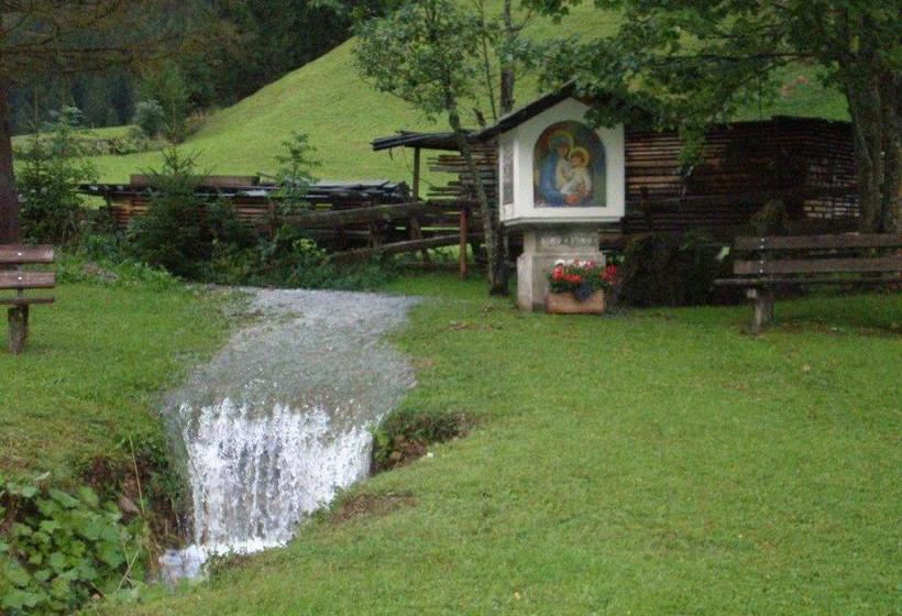 Пансион Alpenhof Alt Lähn