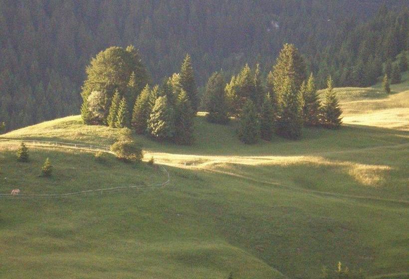 Пансион Alpenhof Alt Lähn