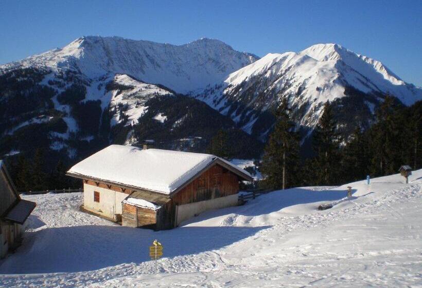 Пансион Alpenhof Alt Lähn