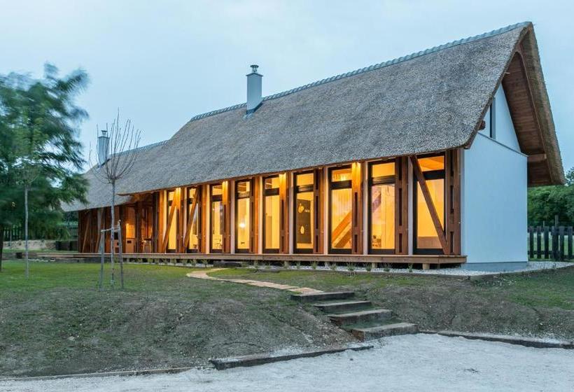 بنسيون Portushome Dörgicse