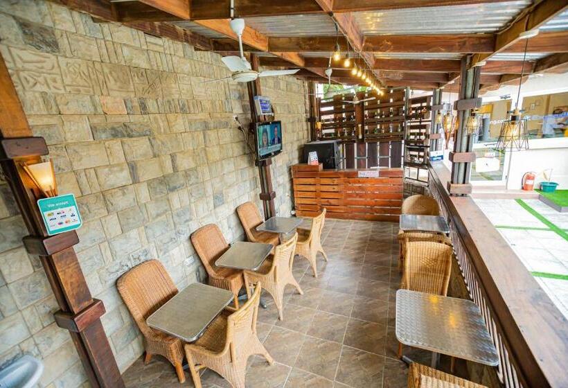 Bed and Breakfast Nap Apartment