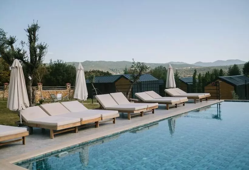 Hotel Kairos