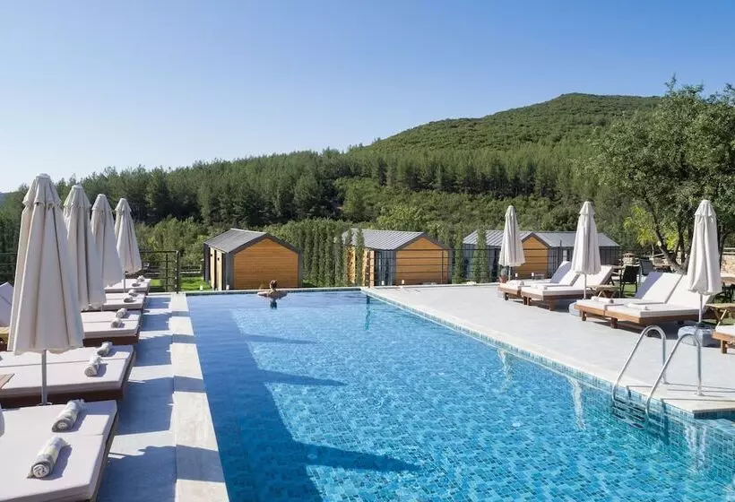 Hotel Kairos