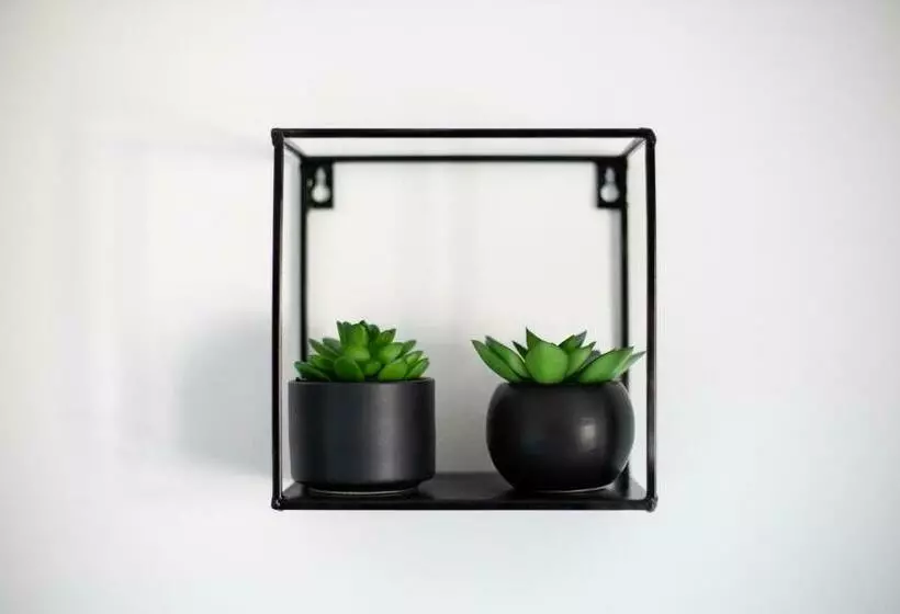 ペンション Cadoni Guest House