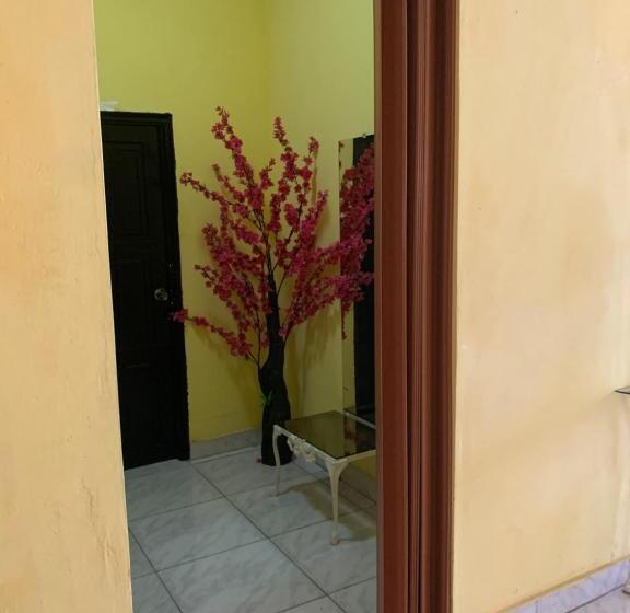 ペンション Hostal Familiar Villa Nome